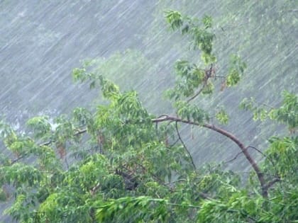 Жителей Рязанской области предупредили о ливне 14 июля