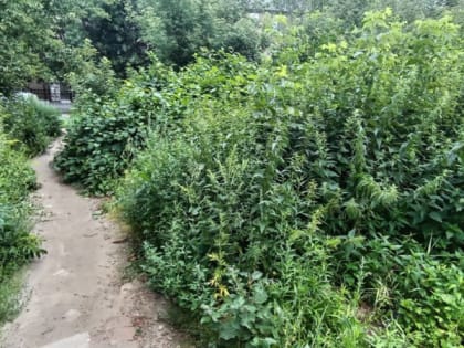 Жильцы ЖК «Паруса» самостоятельно нанесли разметку на асфальте