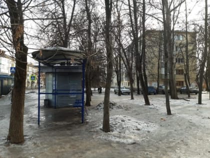 Депутат требует опилить старые деревья в Приокском