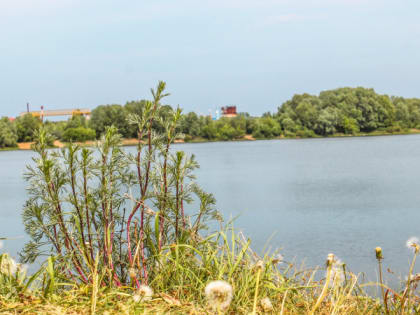 11 июля в Рязанской области ожидается переменная облачность и до +29