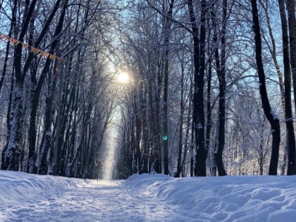 9 марта в Рязанской области ожидается небольшой снег и до -10