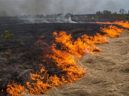 МЧС предупредило жителей Рязанской области о чрезвычайной пожарной опасности