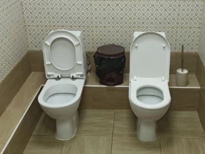 В Рязанском кремле запечатлели туалет для «раскрепощенных»