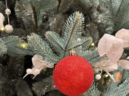 Представители администрации Рязани передали подарки детям участников СВО