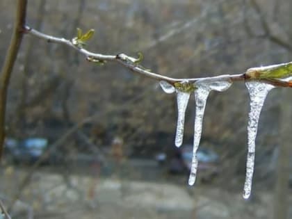 МЧС предупредило жителей Рязани о резком похолодании 5 апреля