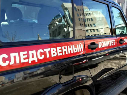 Жителя Скопинского района подозревают в нанесении смертельной травмы знакомому
