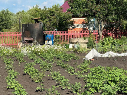 И пощады даже не ждите: за инструменты и садовую технику на даче россиян теперь начнут серьезно штрафовать с 1 августа