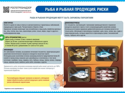 О результатах контроля за качеством и безопасностью рыбы и морепродуктов за 1 полугодие 2023 года