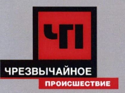 В Ельце зарезали маму малолетнего ребенка