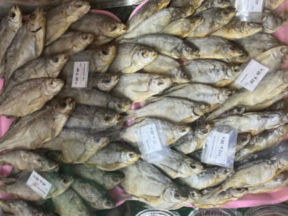 Эта рыба кишит паразитами: мы ее подаем на стол и даем детям. В ней нашли 10-метровых червей