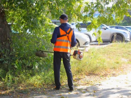Дополнительно 165 миллионов рублей выделены на Нижний городской парк в Рязани