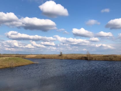 19 мая в Рязанской области ожидается порывистый ветер и до +21