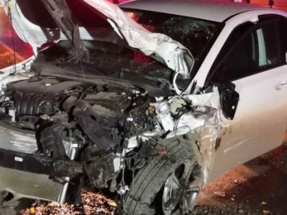 Кадры жесткой аварии в Удмуртии: погибли двое
