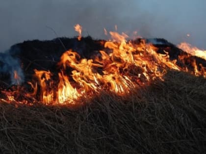 Во время военных учений под Рязанью загорелось 20 гектаров травы