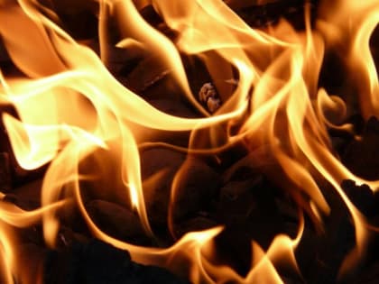 На пожаре в Спасском районе погибли два человека