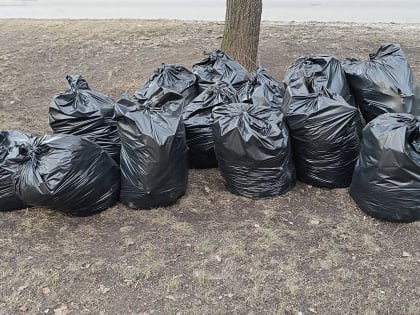 В Рязани активисты ТОС вышли на уборку городских парков и скверов