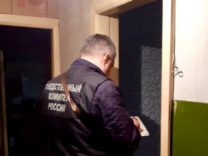 В подвале жилого дома под Рязанью нашли костные останки