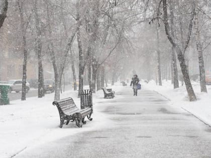 1 марта в Рязанской области ожидается умеренный снег и до -9