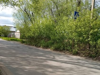 Остановка в Дягилеве заросла кустарником