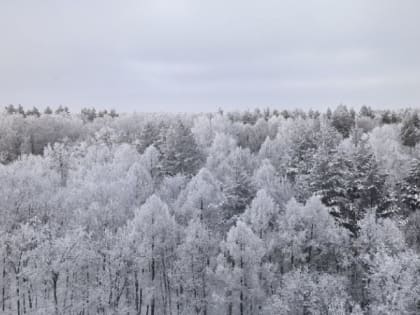 На следующей неделе в Рязани ожидается до -15 градусов