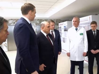 Михаил Мишустин оценил ход развития здравоохранения Рязанской области