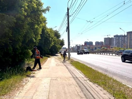 Окос травы и уход за цветниками: в городе продолжаются сезонные работы по благоустройству