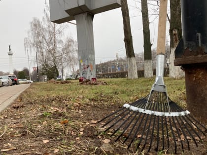 Рязанские улицы убирали от мусора