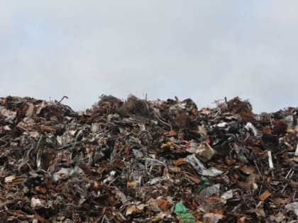 Рязанская область не ждёт мусор из столицы