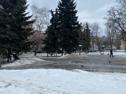 В субботу в Рязани ожидается потепление до +2 градусов