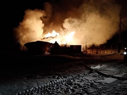 В Сараевском районе на пожаре погибла женщина