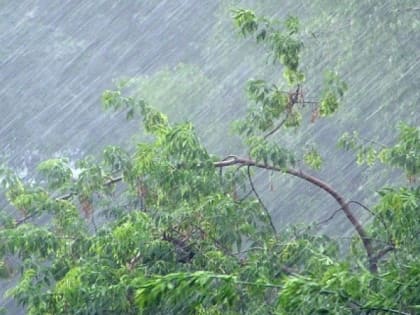 9 августа МЧС Рязанской области предупредило о ливнях, грозах, граде и усилении ветра