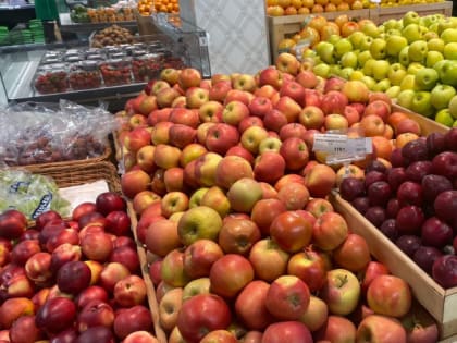 Рак точно будет не страшен: вот какой продукт добавьте в рацион — врач точно знает, что рекомендовать