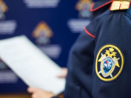 В СК рассказали об опросе соседей и родственников погибшей на улице Березовой девушки