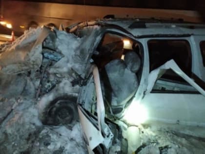 Стал известен виновник аварии с тремя погибшими в Шацком районе