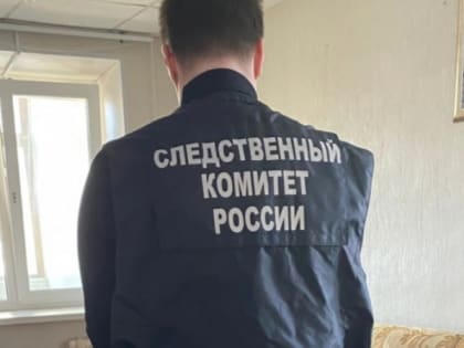 В Рязани мужчина подозревается в смертельной расправе кирпичом