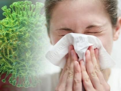 За первую неделю 2024 года гриппом и ОРВИ заболели 4 044 жителя Рязанской области