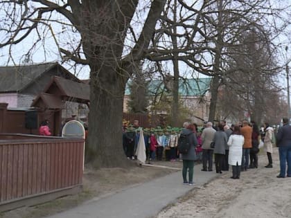 Черешчатый дуб у дома-музея Пожалостина в Солотче стал памятником живой природы