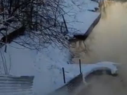 В Рязанской области в пруд сливают кипяток