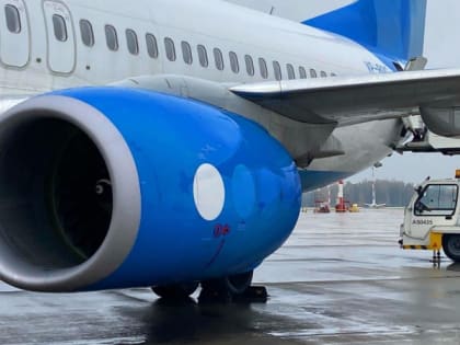 В Рязани примут 50 эвакуированных жителей Палестины