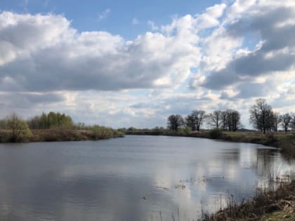 12 апреля в Рязанской области ожидается потепление до +18