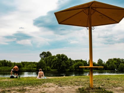 С 3 по 7 августа в Рязанской области ожидается жара до +34 градусов