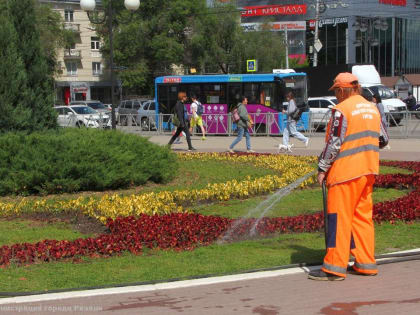 Окос травы и уход за цветниками: в Рязани продолжаются сезонные работы по благоустройству