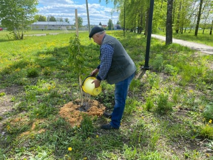 Сасовские коммунисты заложили аллею в честь 100-летия Пионерии!