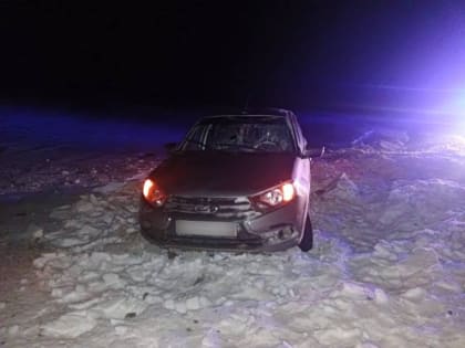 В Рязанской области «Лада» сбила 20-летнего пешехода