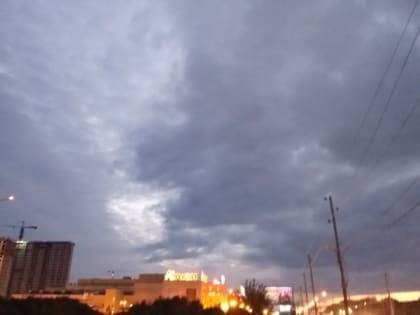 В МЧС предупредили жителей Рязанской области о грозе и граде 29 июня