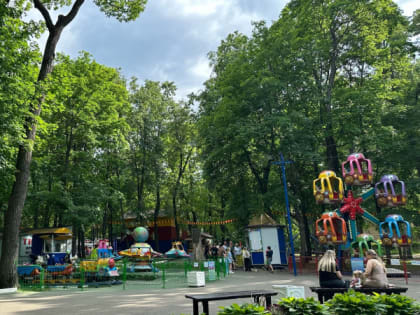 15 июня в Рязанской области ожидается порывистый ветер и до +27