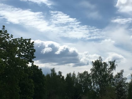 В Рязани зафиксировали превышение концентрации сероводорода