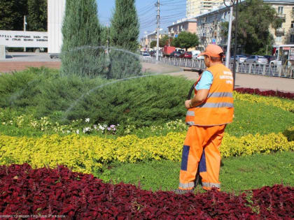 Дирекция благоустройства выкашивает газоны и проводит полив цветников
