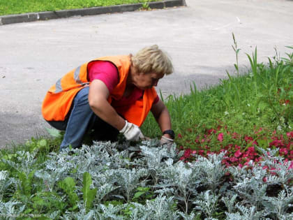 Уход за цветниками и выкашивание газонов: в областном центре продолжаются сезонные работы по благоустройству