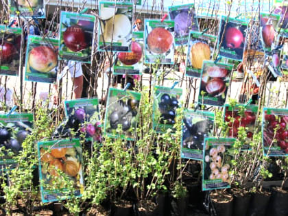 В Рязани с 15 апреля 2023 года планируются тематические ярмарки «Сад-огород» .